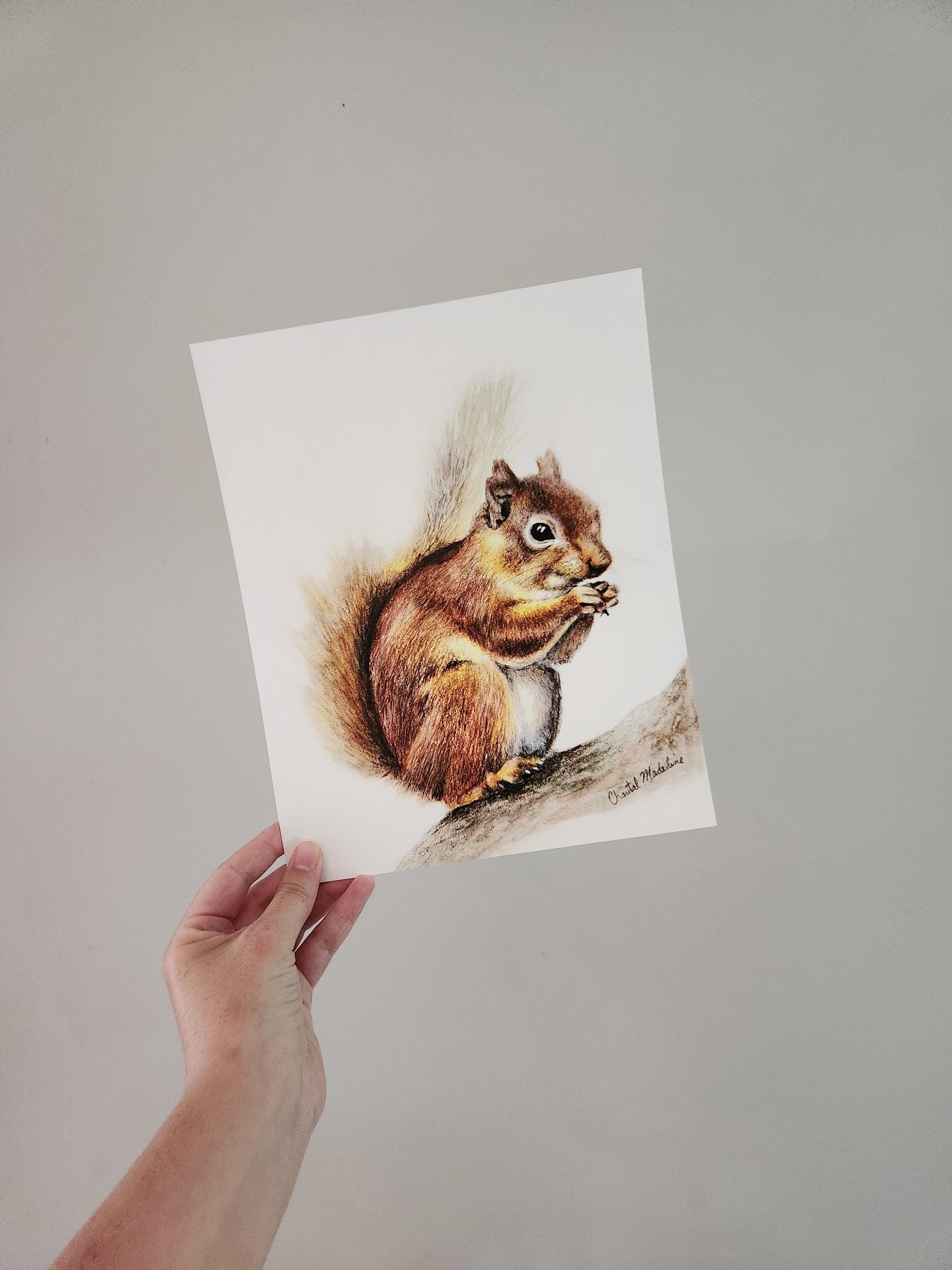 Woodland Squirrel art print, Wildlife art print, Giclee print on fine art paper