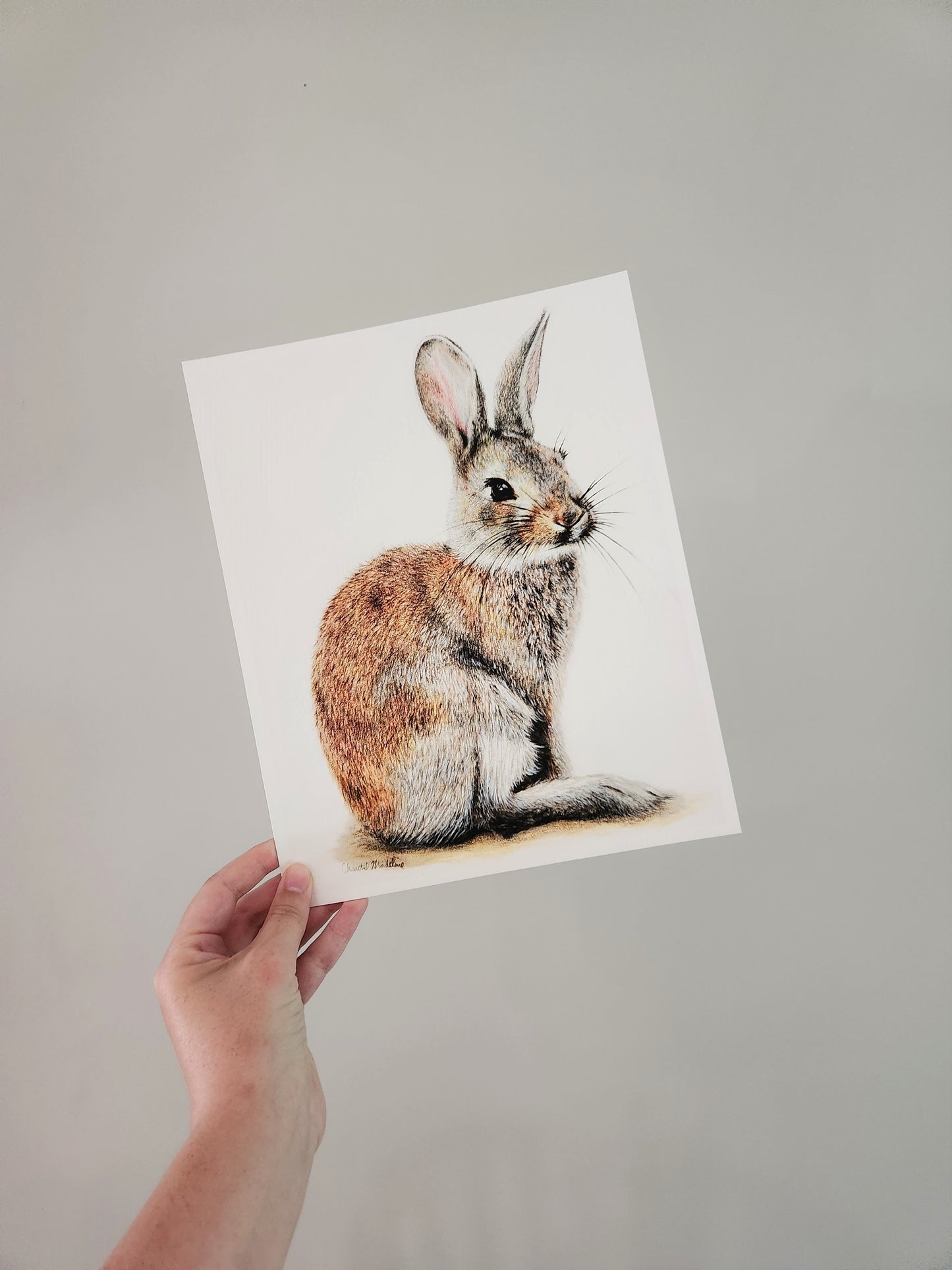 Woodland bunny art print, Wildlife art print, Giclee print on fine art paper