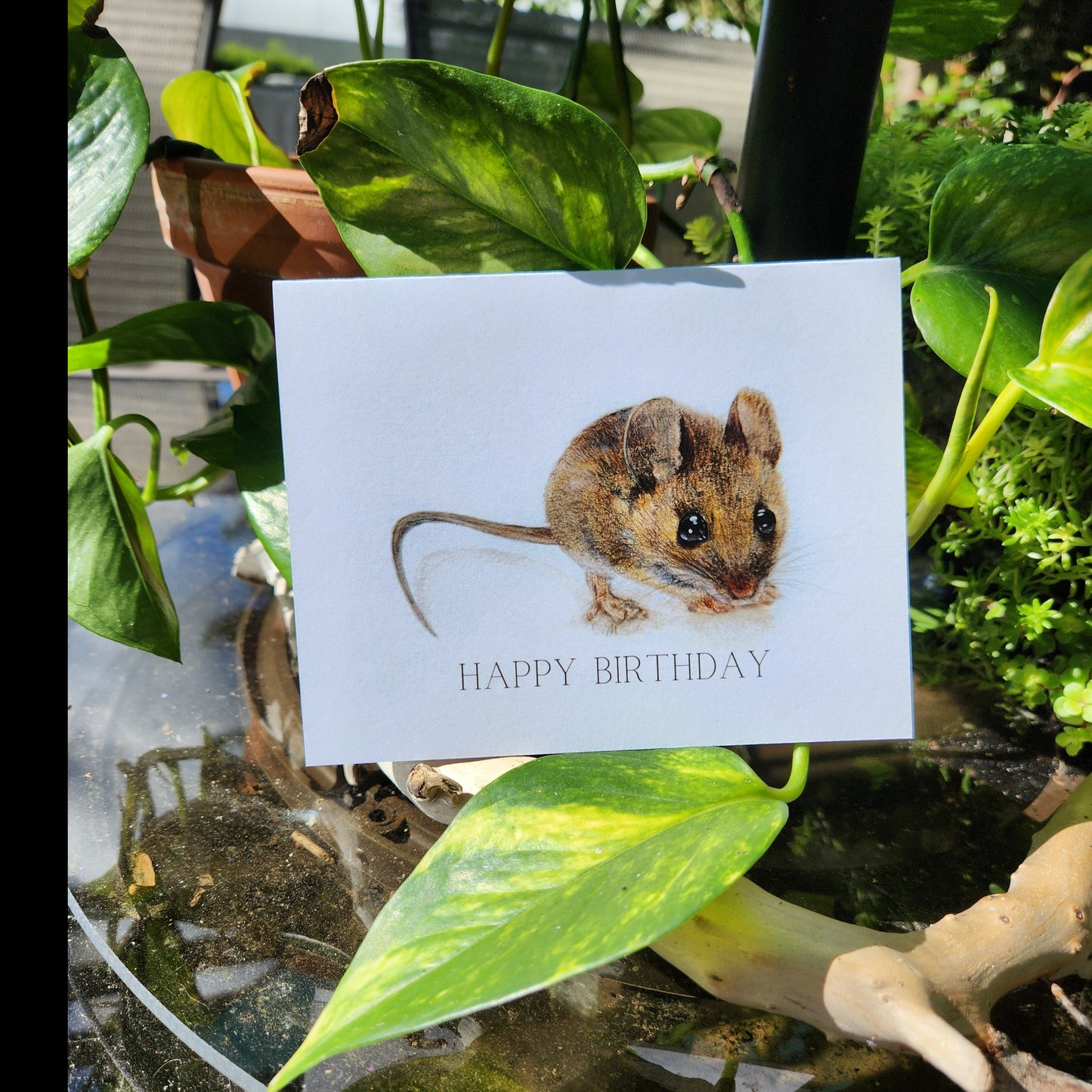 Happy Birthday Wildlife card, Whimsical woodland Mouse greeting, Outdoors adventure card, Baby mouse illustration, Card for children, Kids