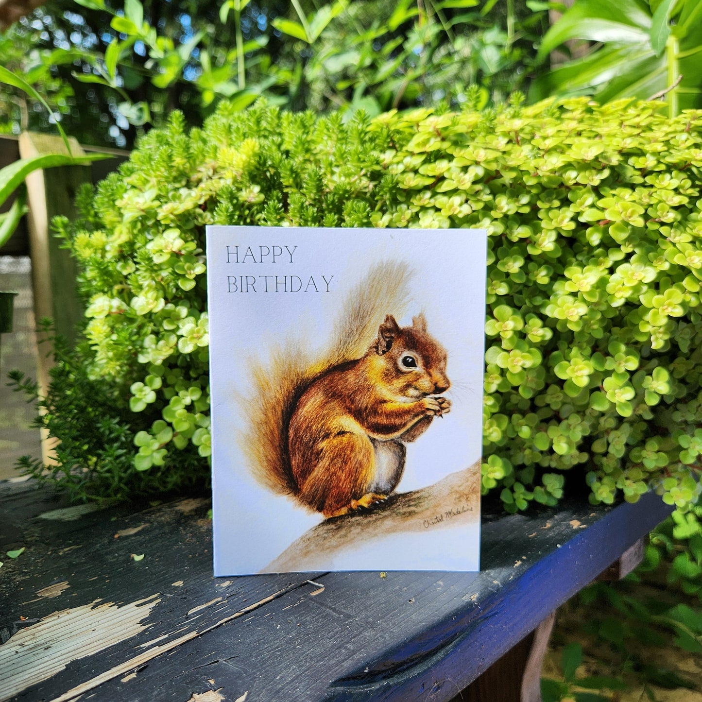Happy Birthday woodland squirrel greeting card, Card for outdoorsy dad, Grandpa, husband, Wife, Cute Animal illustration children's card