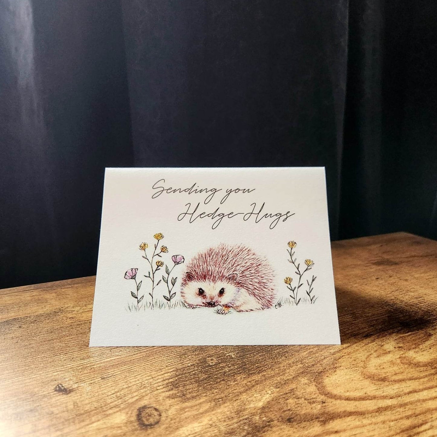 Sending you Hedgehugs, Thinking of you, Missing you card, Sympathy card, Long distance card, Your in my thoughts, Support card, Well wishes