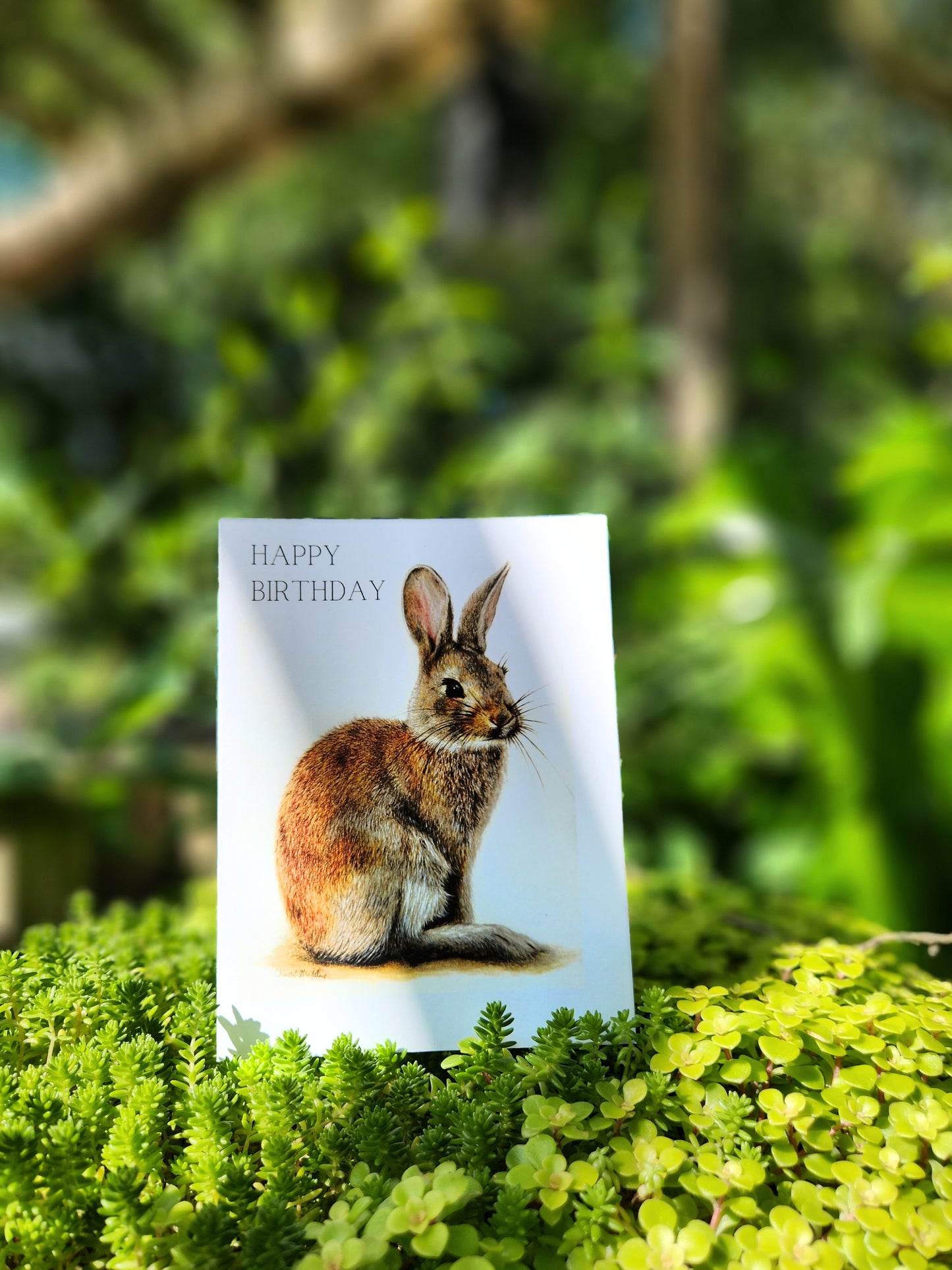 Happy birthday woodland bunny card, Cute rabbit birthday card for friend, Co worker, Husband, Wife, Partner, Nature animal lover greeting