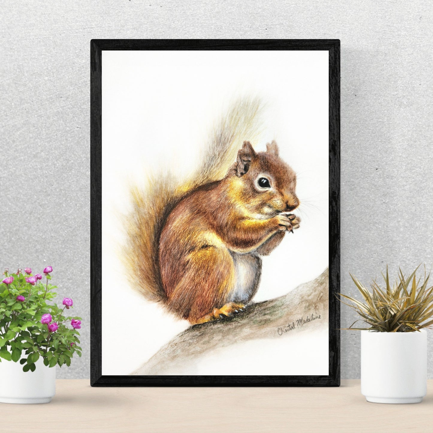 Woodland Squirrel art print, Wildlife art print, Giclee print on fine art paper