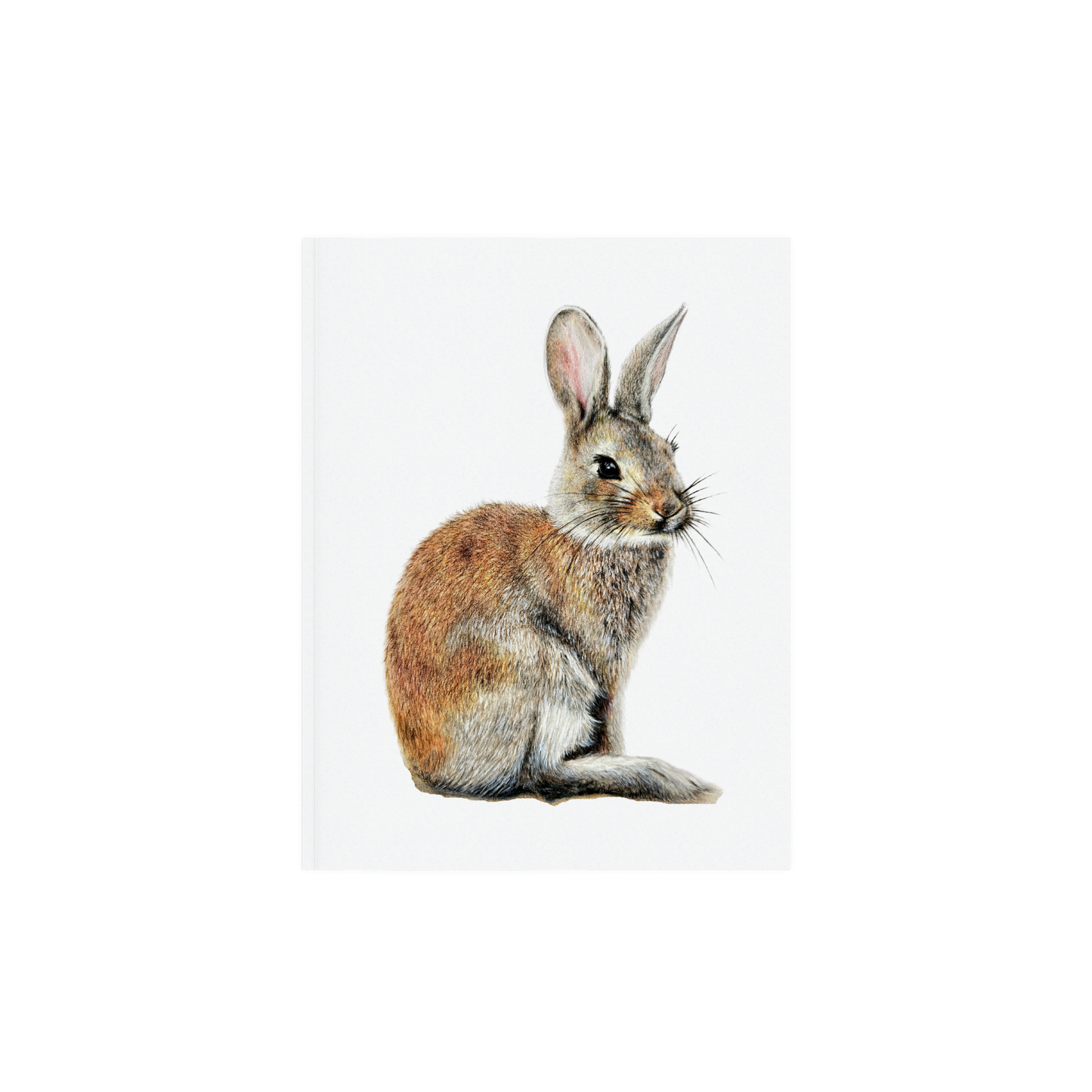 Woodland bunny art print, Wildlife art print, Giclee print on fine art paper
