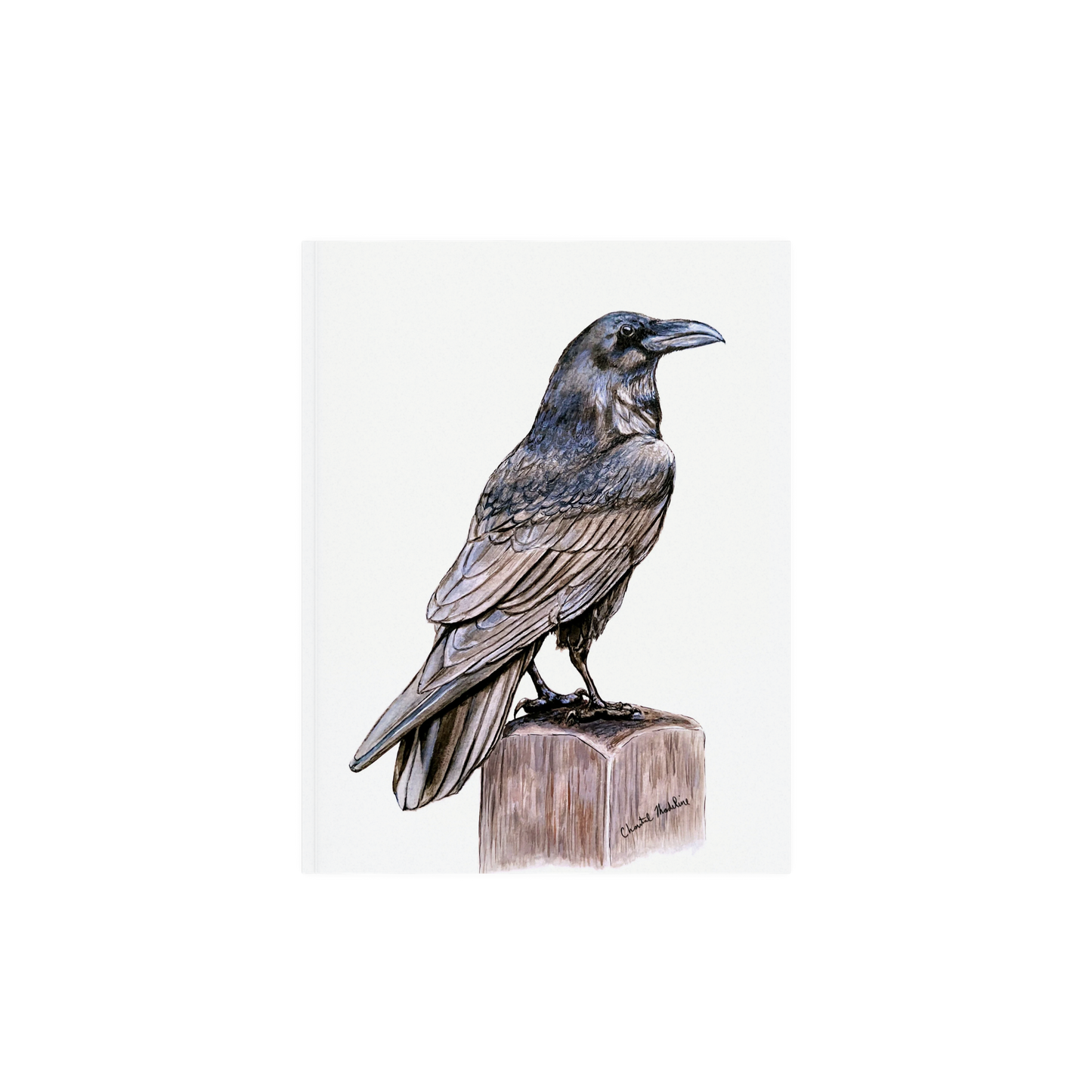Raven art print, Wildlife art print, Giclee print on fine art paper