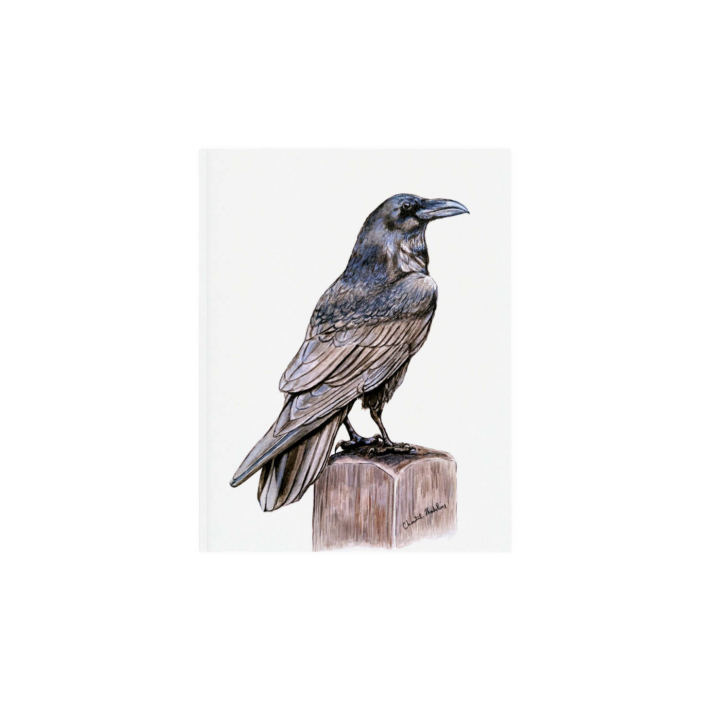 Raven art print, Ink drawing wall art, Raven poster, Gothic decor, Black bird print, Crow art print, Woodland home decor, Living room art