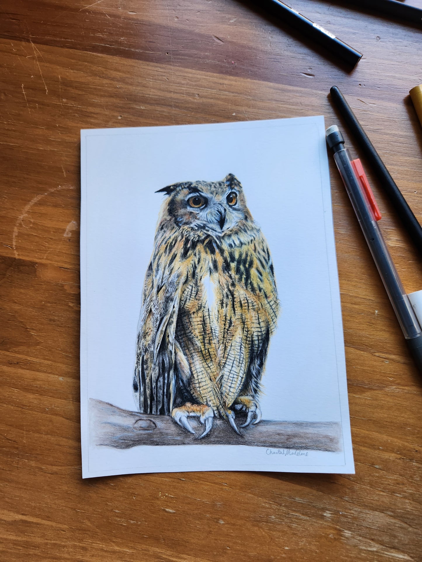 Owl art print, Woodland animal decor, Wildlife art, Giclee print on fine art paper