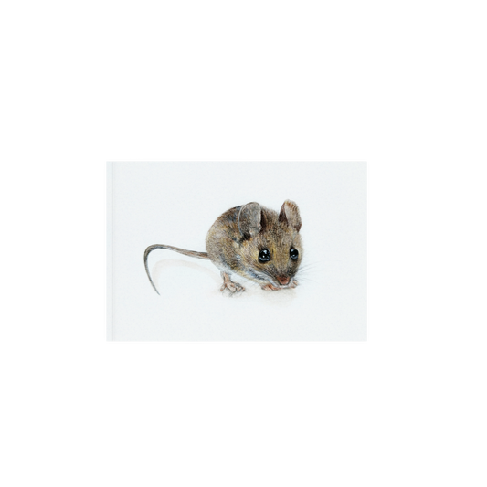 Woodland Mouse art print, Wildlife art print, Giclee print on fine art paper
