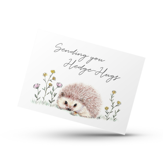 Sending you Hedgehugs, Thinking of you, Missing you card, Sympathy card, Long distance card, Your in my thoughts, Support card, Well wishes