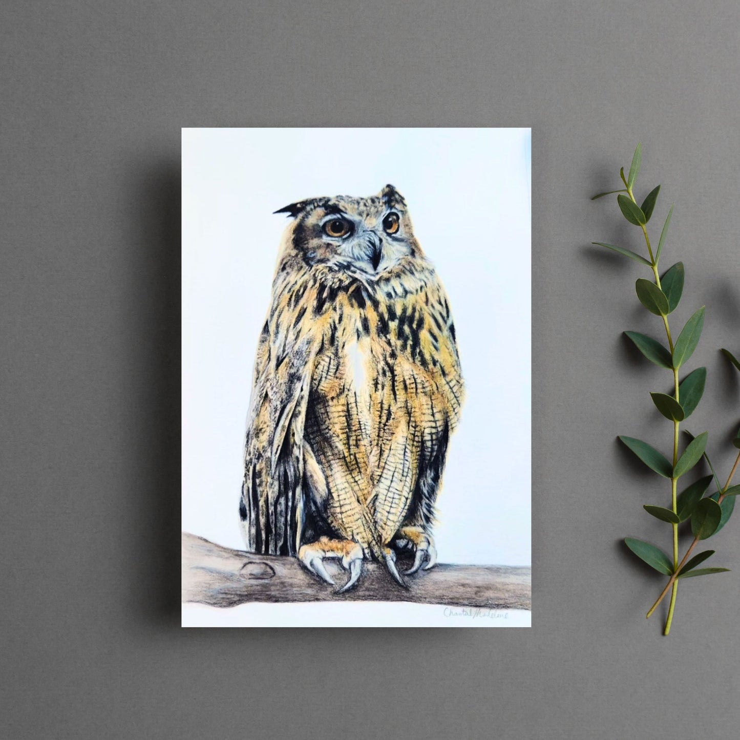 Owl art print, Woodland animal decor, Wildlife art, Giclee print on fine art paper