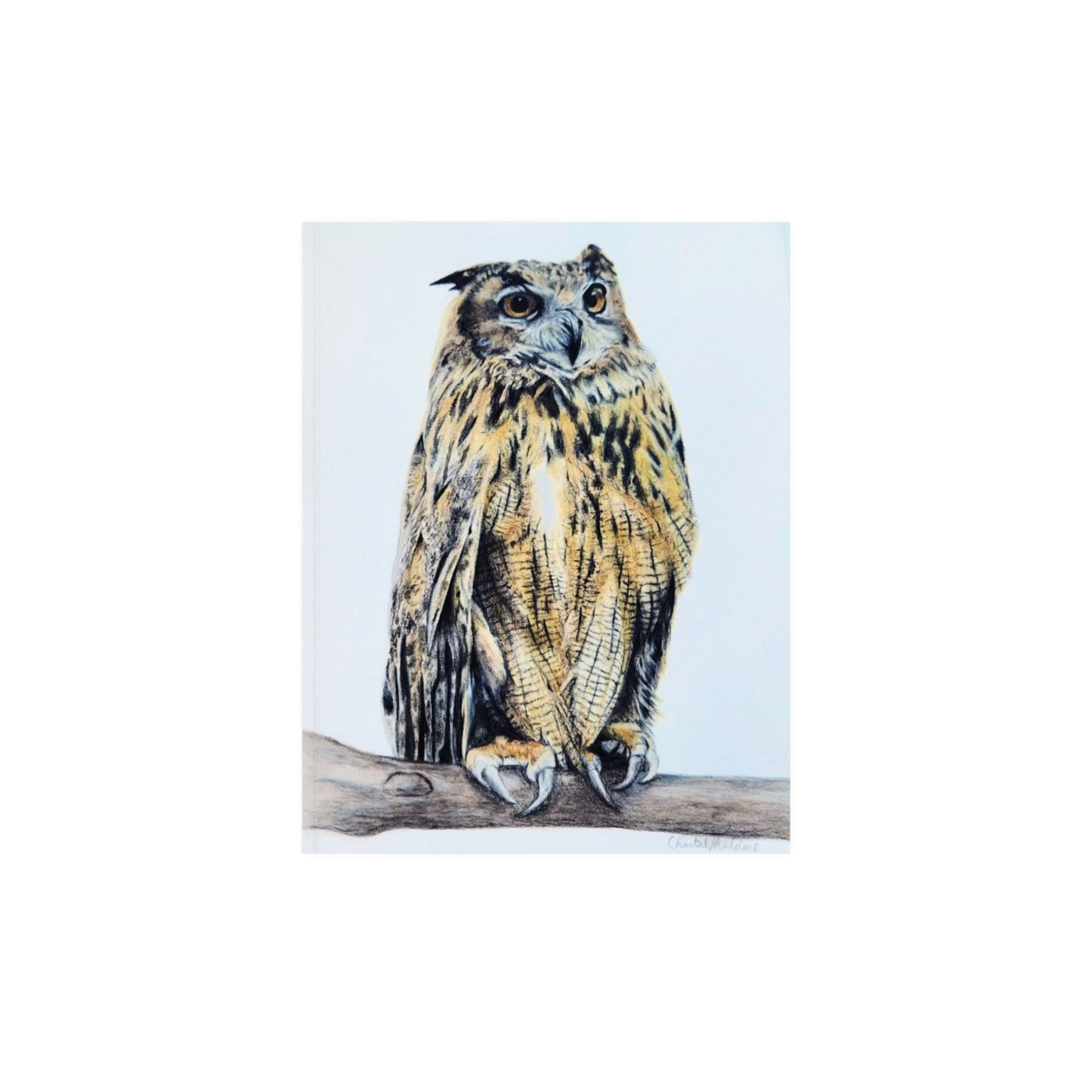 Owl art print, Woodland animal decor, Wildlife art, Giclee print on fine art paper