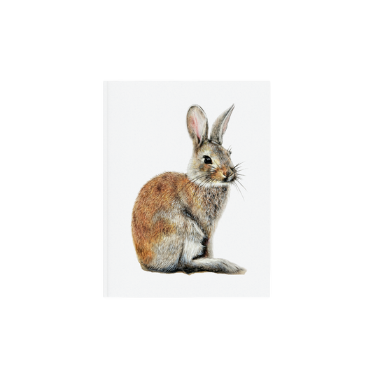 Woodland bunny art print, Wildlife art print, Giclee print on fine art paper