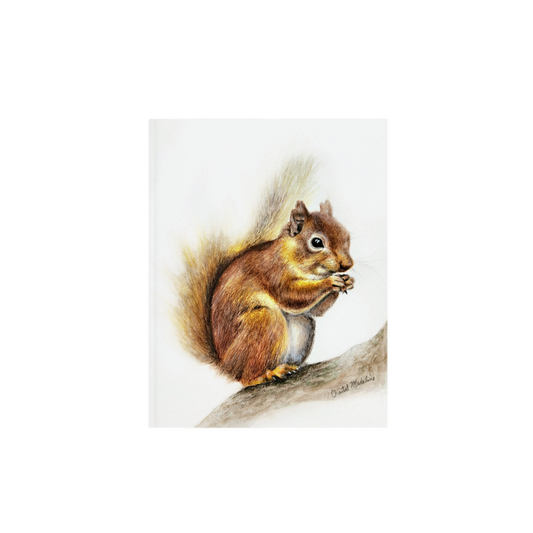 Woodland Squirrel art print, Wildlife art print, Giclee print on fine art paper