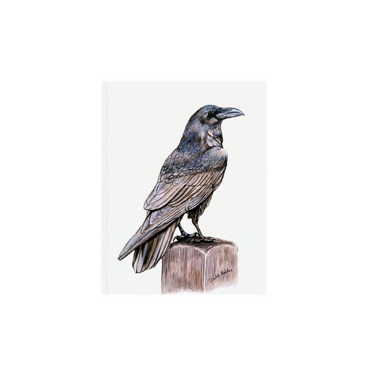 Raven art print, Wildlife art print, Giclee print on fine art paper