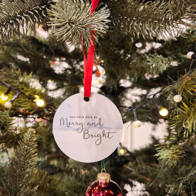 Christmas tree ornament, Cute wildlife metal ornament, Santa hat squirrel, Squirrel ornament for Christmas tree, Holiday home decor